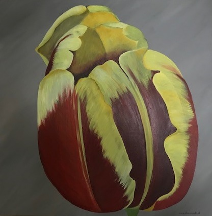 Tulp in rood en geel