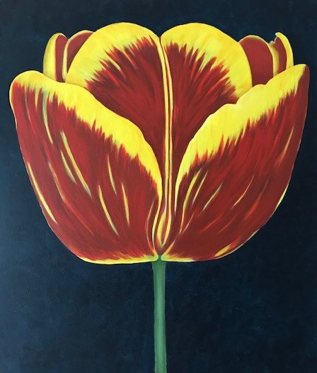 Tulp rood en geel
