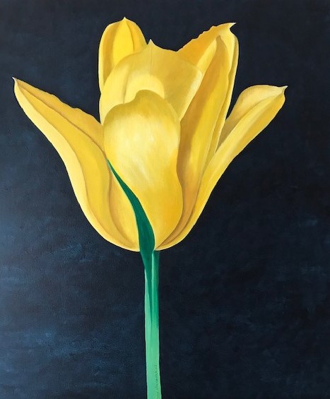 Tulp in geel