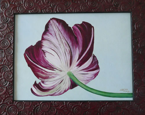 Tulp in aubergine